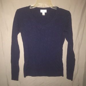 Ann Taylor LOFT Navy Blue V-Neck Sweater